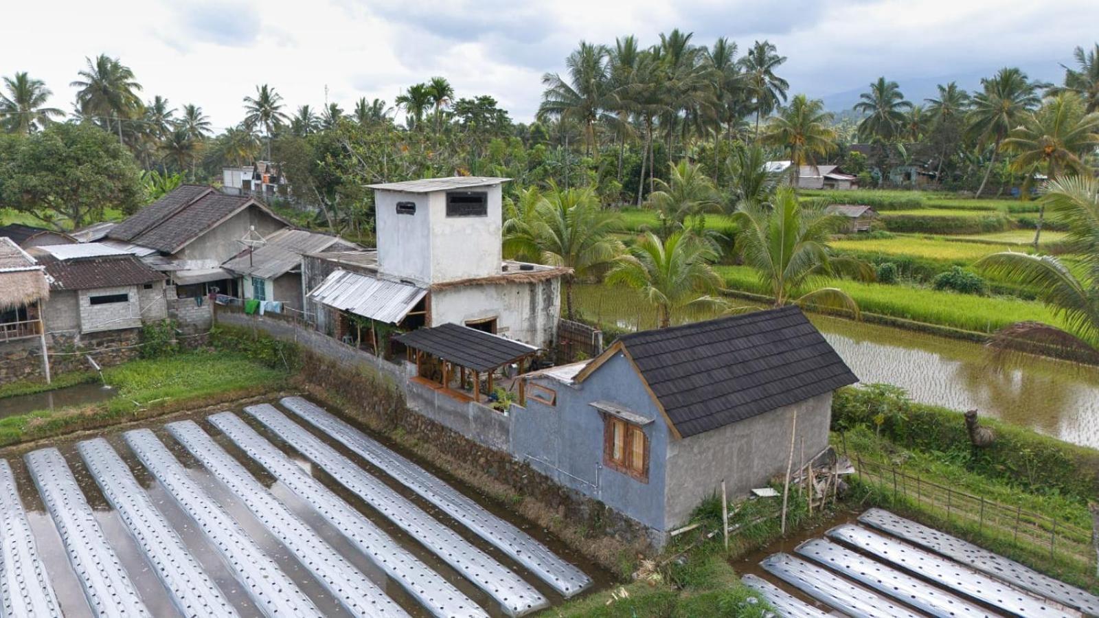 Dira Bungalows Tetebatu Room photo